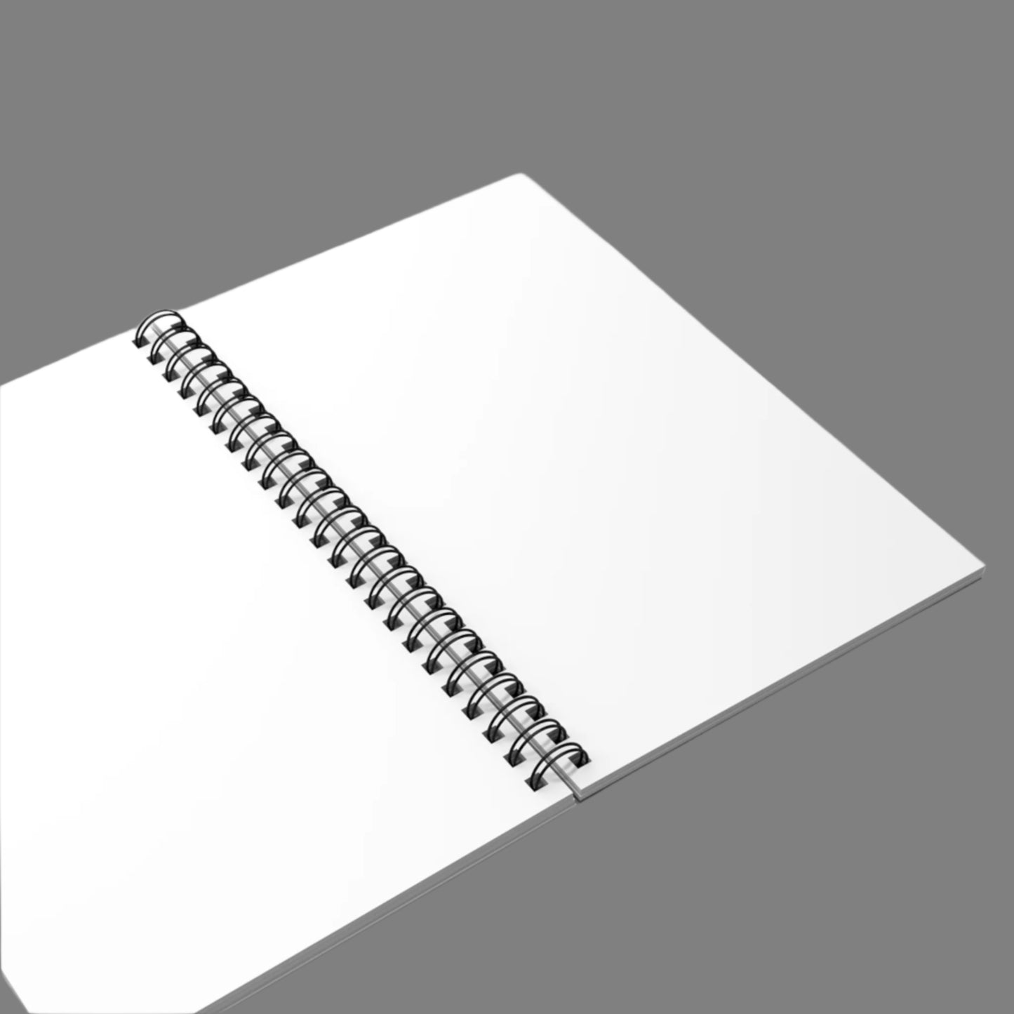 GREYNOISE Spiral Journal